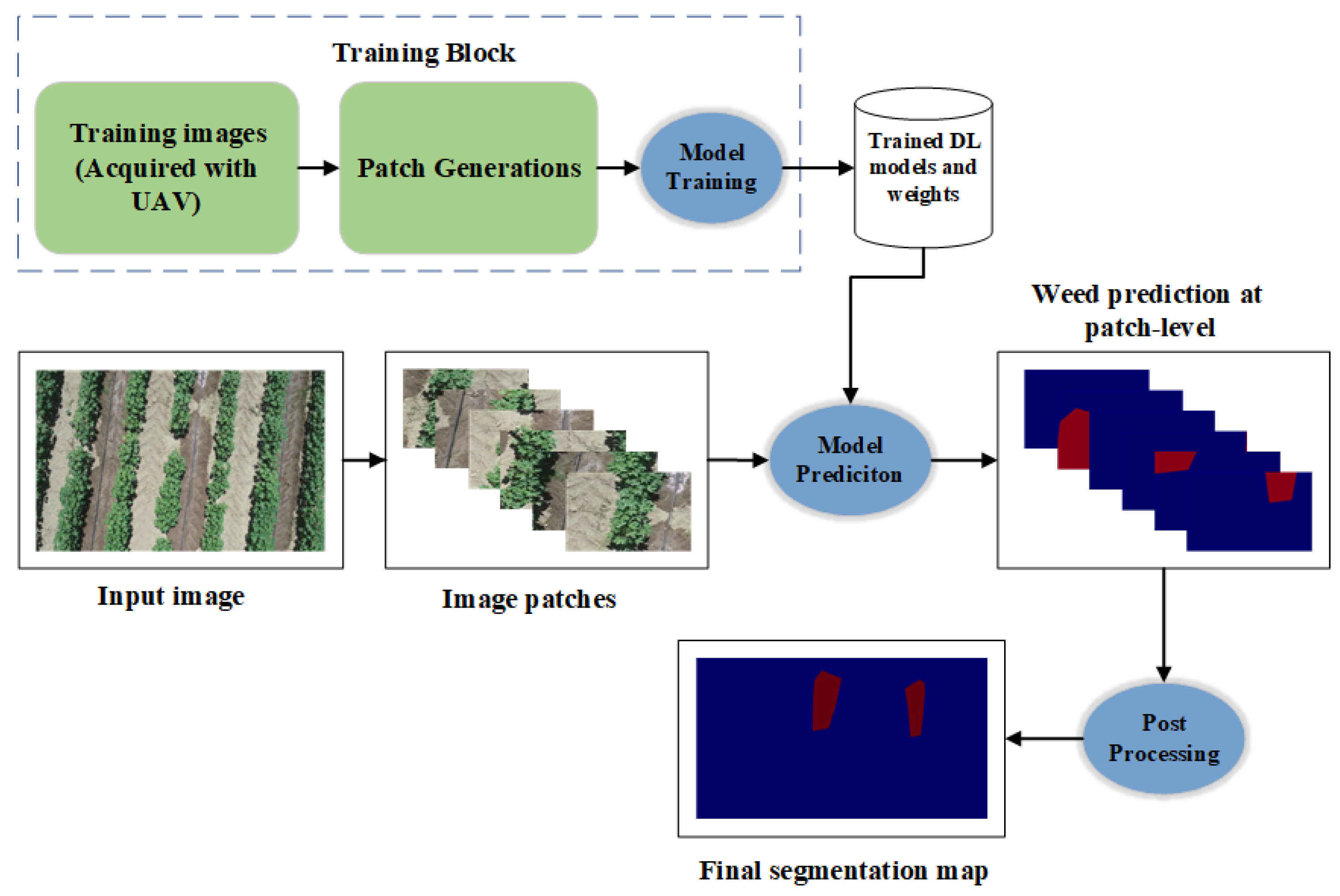 Weed Detection